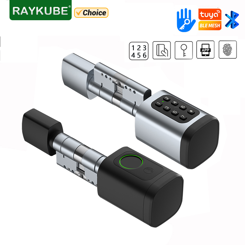 RAYKUBE V1 Tuya BLE TT 잠금 장치 D - Home Automation System Diy 리뷰 및 가격