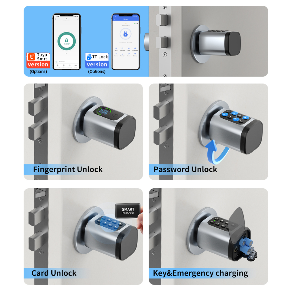 RAYKUBE V1 Tuya BLE TT 잠금 장치 D - Home Automation System Diy 리뷰 및 가격