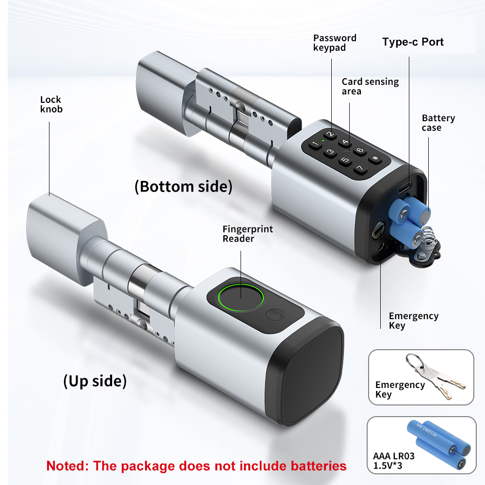 RAYKUBE V1 Tuya BLE TT 잠금 장치 D - Home Automation System Diy 리뷰 및 가격